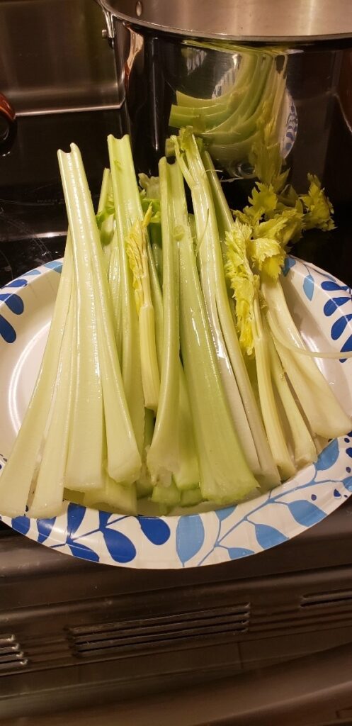 Cut Celery Plate